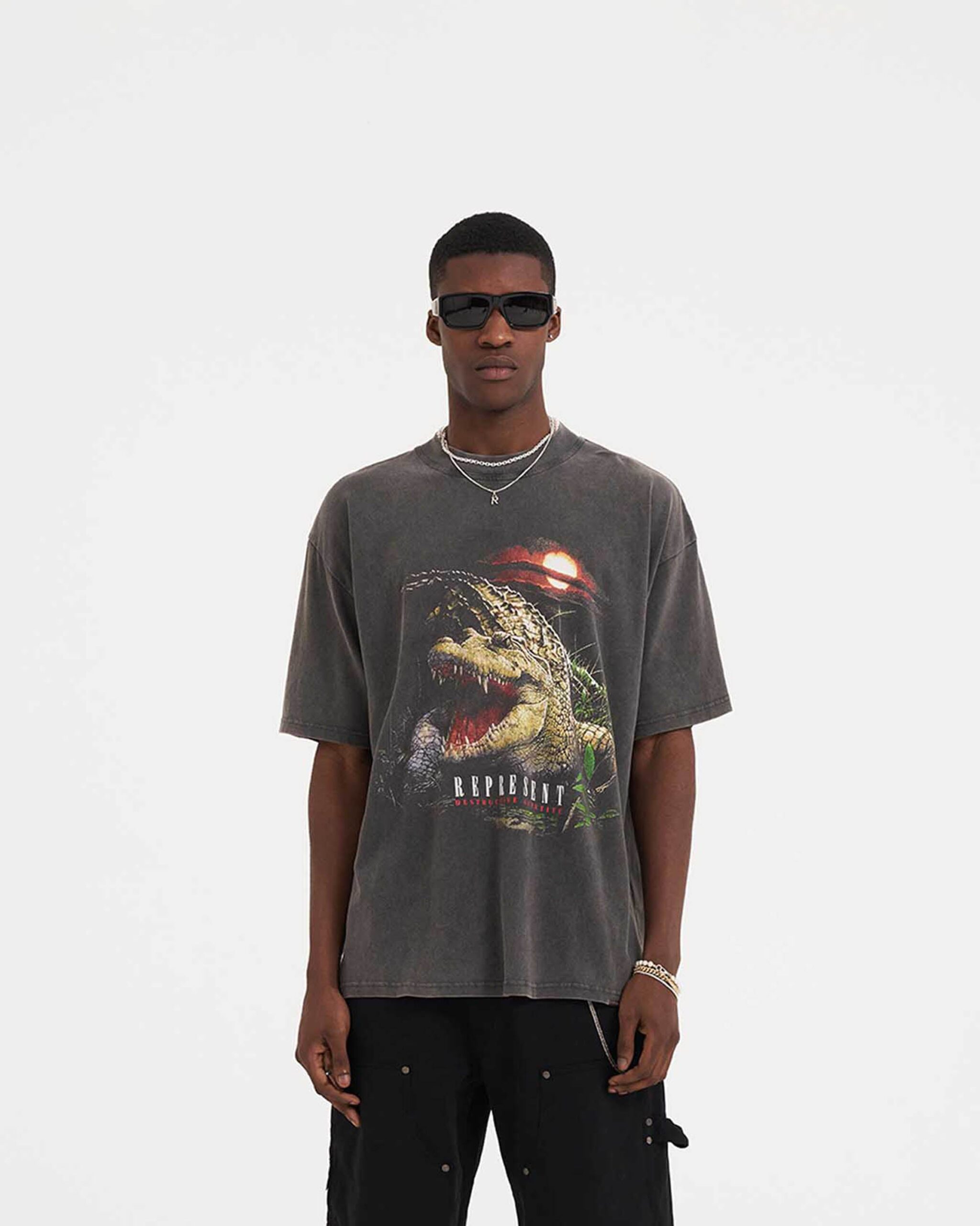 Destructive Appetite T-Shirt - Vintage Grey - Image 2